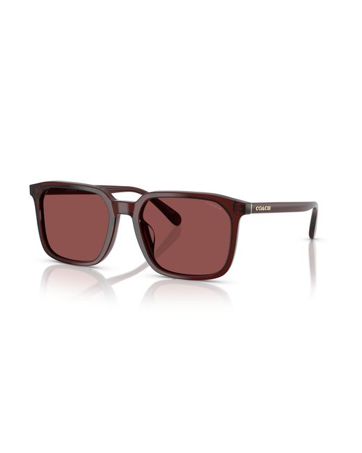 COACH Black Sunglass Cw405 for men