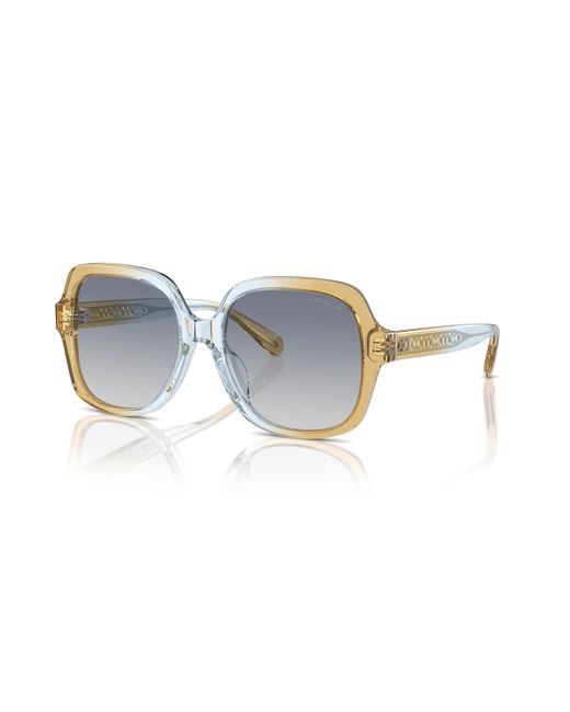 COACH Black Sunglass Cr614