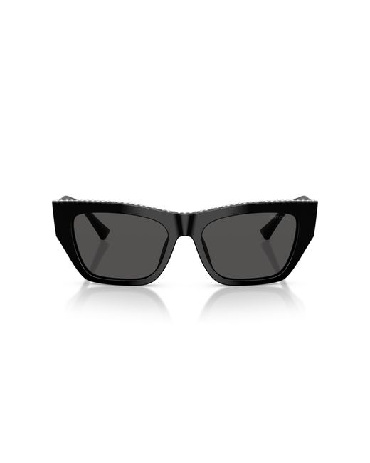 Jimmy Choo Black Sunglass Jc5035b