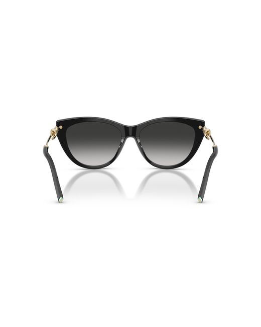 Tiffany & Co Black Sunglass Tf4253