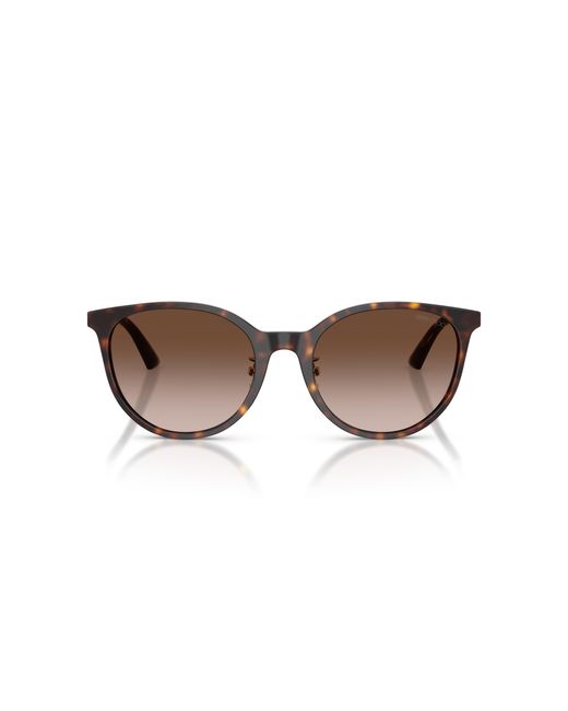 Jimmy Choo Black Sunglass Jc5056jd