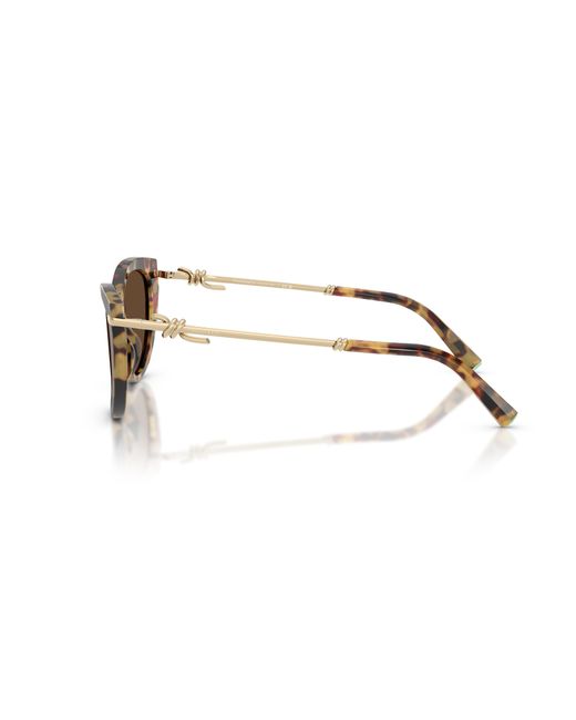 Tiffany & Co Black Sunglasses Tf4253