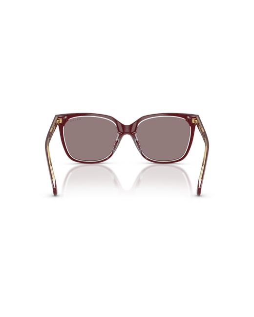 Ralph Black Sunglass Ra5343u
