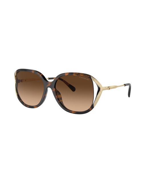 COACH Black Sunglass Cr620
