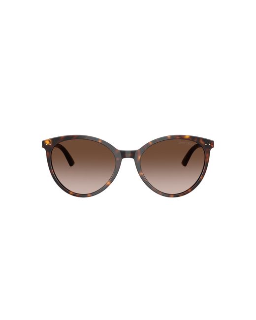 Jimmy Choo Black Sunglass Jc5060