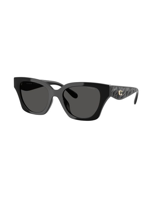 COACH Black Sunglass Cad18