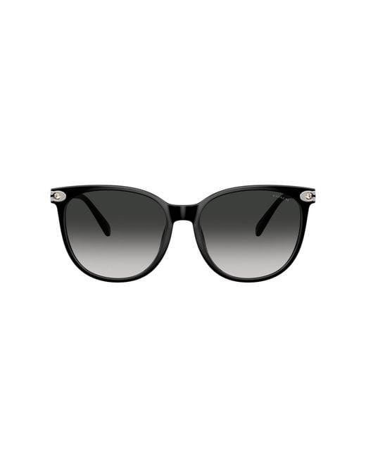 COACH Black Sunglass Cw428
