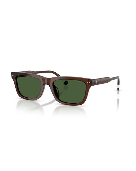 Polo Ralph Lauren Green Sunglass Ph4240u for men