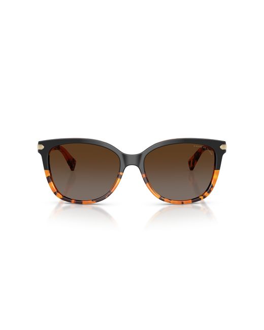 COACH Black Hc8132 Sunglasses