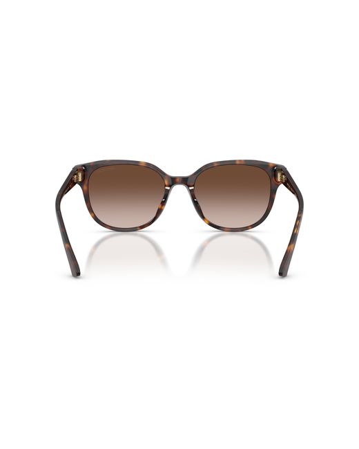 Jimmy Choo Black Sunglass Jc5057d