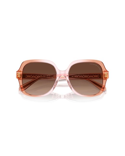 COACH Black Sunglass Cr614