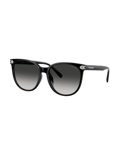 COACH Black Sunglass Cw428