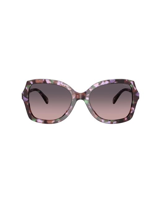 COACH Black Sunglass Cw225