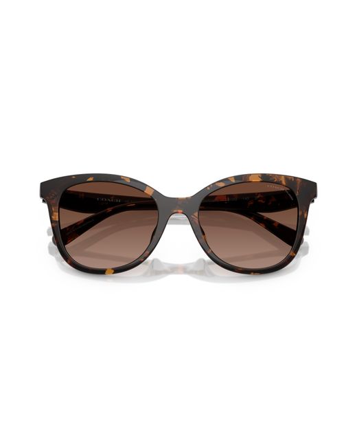 COACH Black Sunglass Hc8419u Cad25
