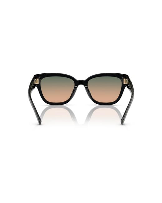 COACH Black Hc8379u Universal Fit Sunglasses