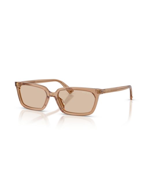 Jimmy Choo Black Sunglass Jc5050u
