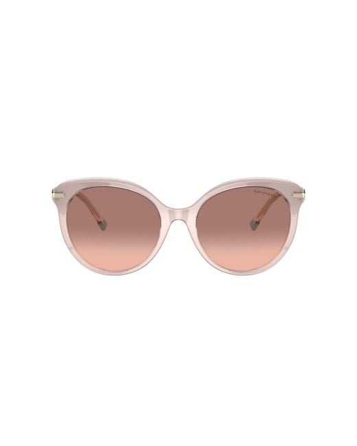 Tiffany & Co Multicolor Sunglass Tf4189b