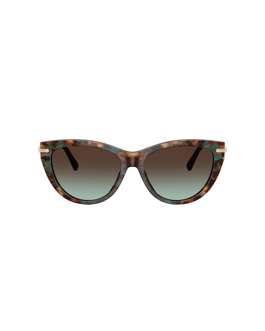 Tiffany & Co Black Sunglasses Tf4253