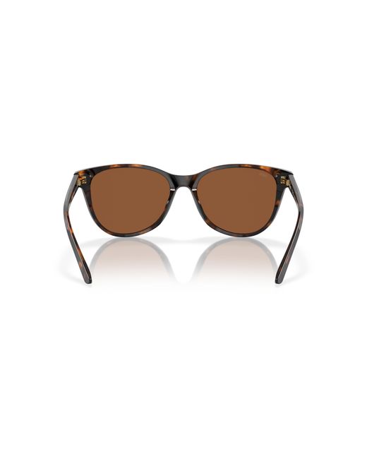 Costa Black Sunglass Catherine