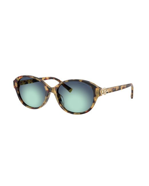 Tiffany & Co Black Sunglass Tf4263d