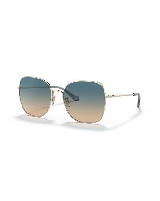 COACH Black Hc7133 Sunglasses