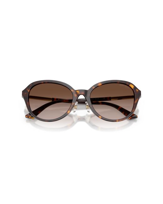 Jimmy Choo Black Sunglass Jc5044d
