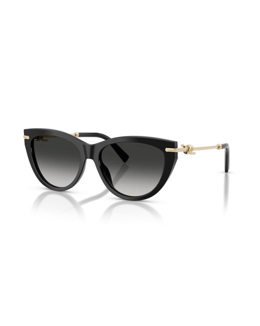 Tiffany & Co Black Sunglass Tf4253
