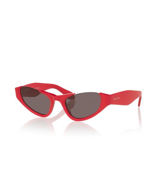 Alaïa Black Sunglass Aa0076s