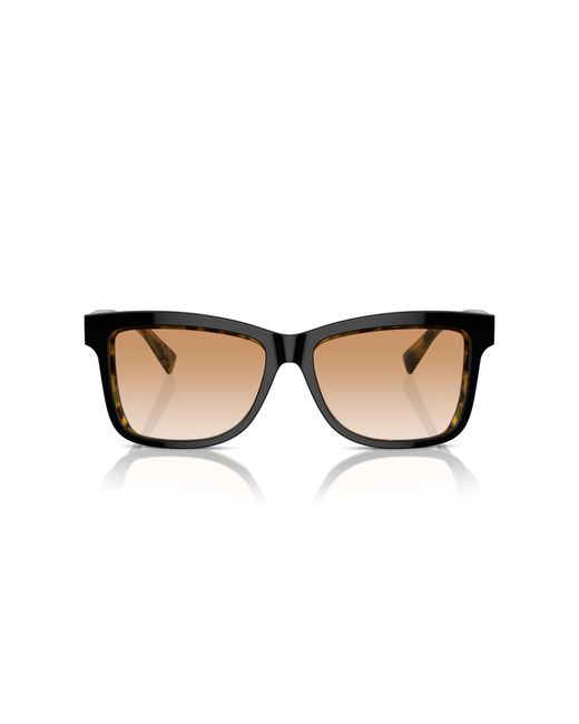 Brunello Cucinelli Black Sunglass Bc4009s