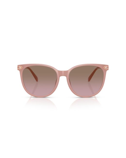 COACH Black Sunglasses Cw428