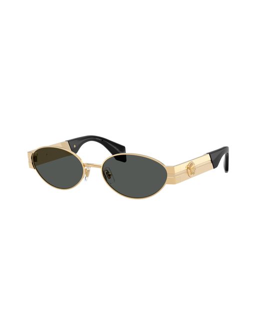Versace Black Sunglass Ve2301 for men