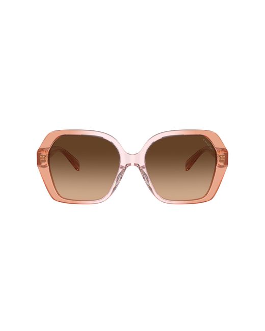 COACH Black Sunglass Cr615