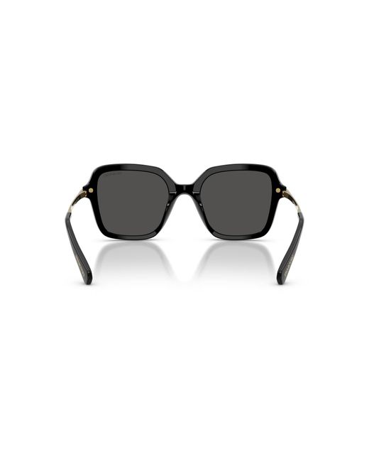 Swarovski Black Sunglass Sk6040