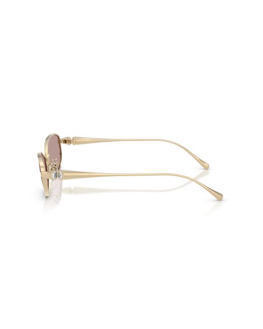 Swarovski Black Sunglass Sk7042