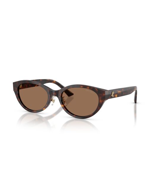 Jimmy Choo Black Sunglass Jc5064d