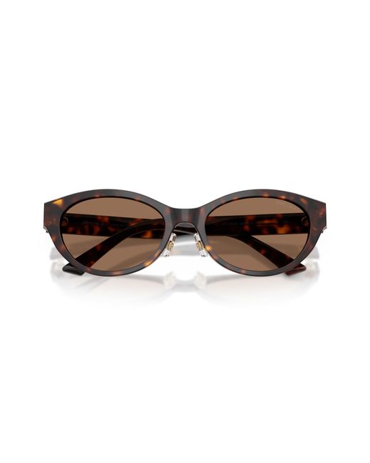 Jimmy Choo Black Sunglass Jc5064d