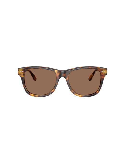 Ralph Lauren Black Sunglass Rl8239u for men