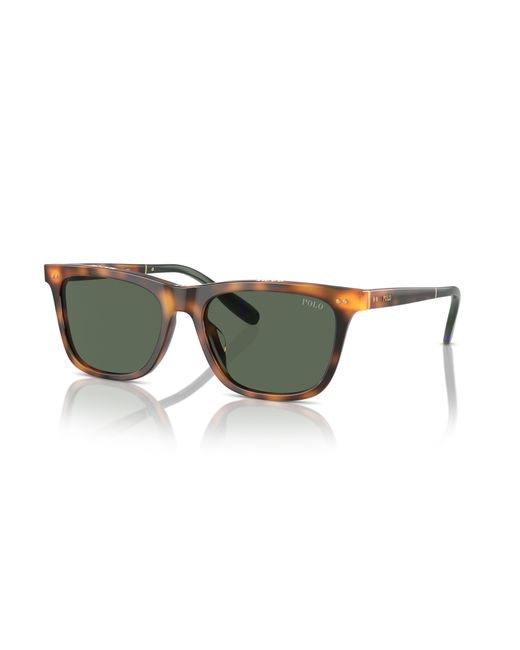 Polo Ralph Lauren Black Sunglass Ph4205u for men