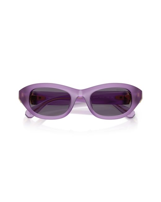 Swarovski Purple Sunglass Sk6036u