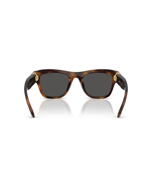 Swarovski Black Sunglass Sk6056u