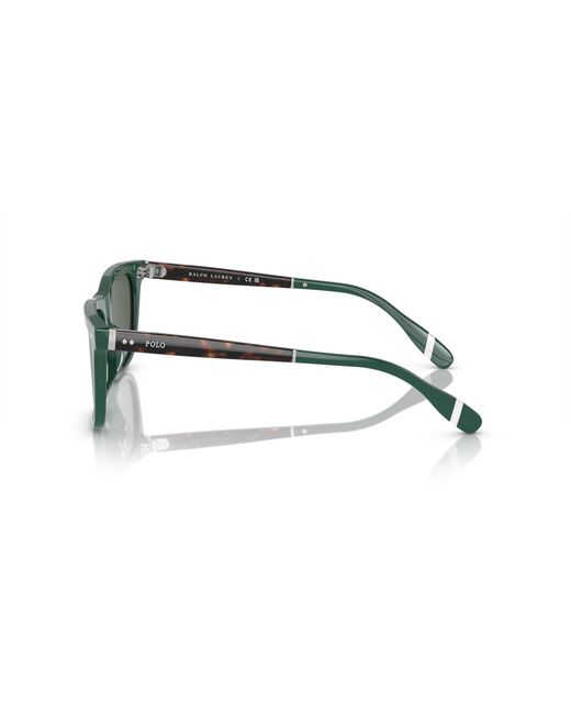 Polo Ralph Lauren Green Sunglasses Ph4205u for men