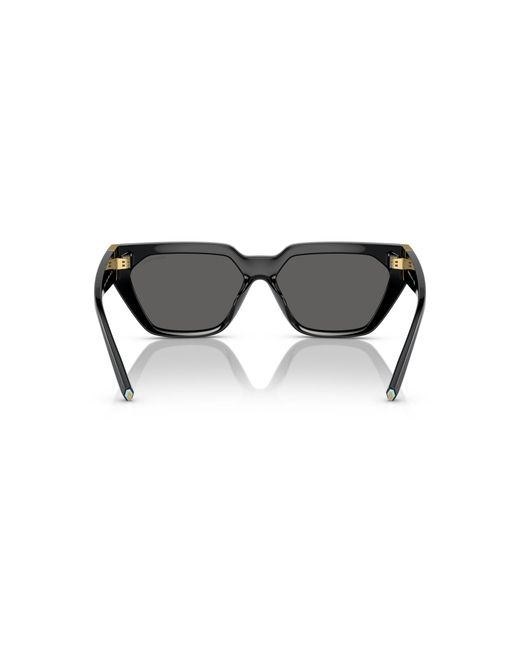 Tiffany & Co Black Sunglass Tf4205u