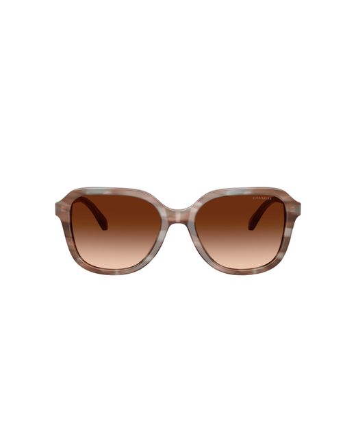 COACH Black Sunglass Cby87
