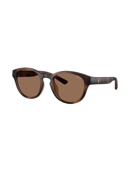 Polo Ralph Lauren Black Sunglass Ph4233u for men