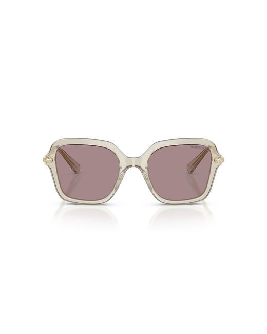Swarovski Black Sunglass Sk6040