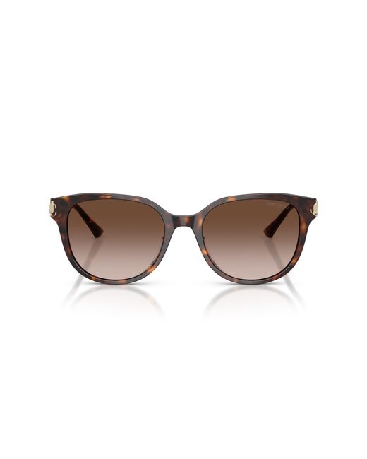 Jimmy Choo Black Sunglass Jc5057d