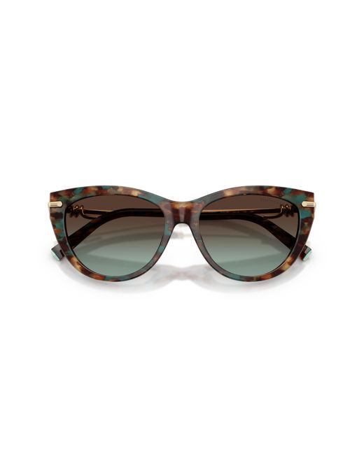 Tiffany & Co Black Sunglasses Tf4253