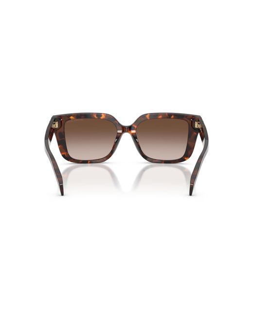Michael Kors Black Sunglass Santo Domingo