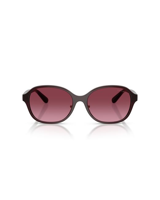 COACH Black Sunglass Cby85