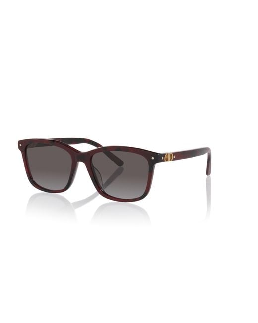 Dior Black Sunglass Petit Cd S2i